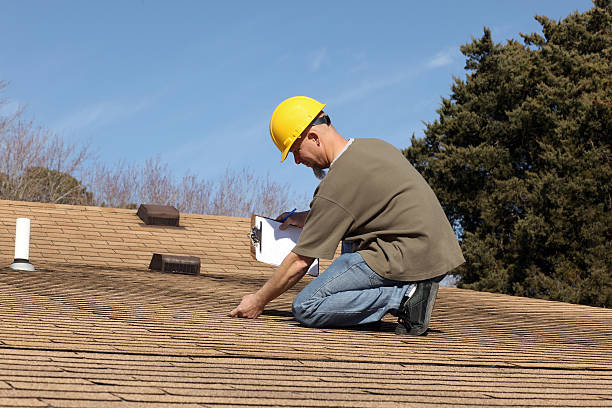 Best Roof Moss and Algae Removal  in Lincoln University, PA